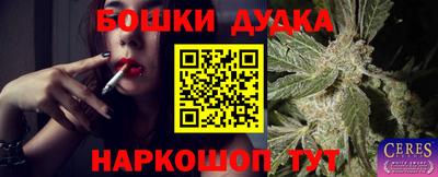 гидра Заволжье