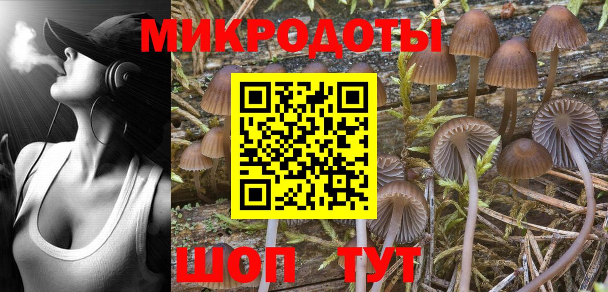 Псилоцибиновые грибы Psilocybine cubensis  Псилоцибиновые грибы Cubensis  Вход с VPN  Миасс 